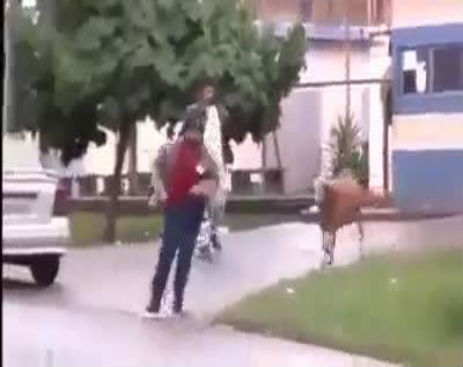 10542986_569145386546390_569145203213075_63465_2075_b (1)