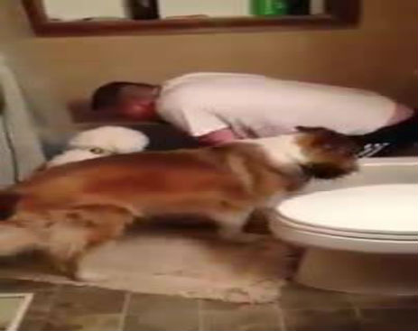 10604312_574334766027452_574334669360795_8535_1588_b