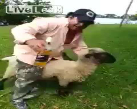 10675874_10153350043254815_10153350042789815_26582_290_b