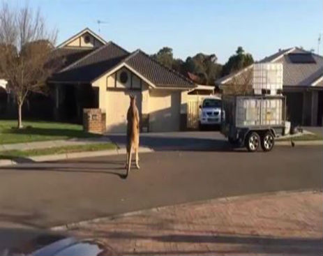 10675883_570967906364138_570967183030877_9543_1707_b