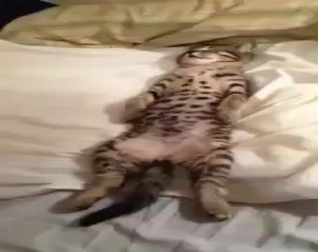 10675910_570964546364474_570964419697820_32982_436_b