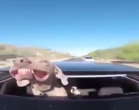 10676101_570958809698381_570958759698386_12319_1365_b