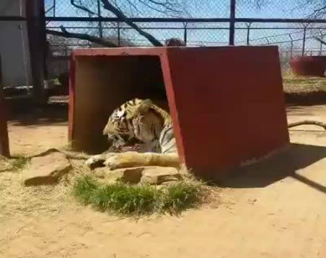 10677845_567271110067151_567271036733825_36176_388_b