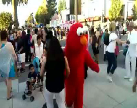 10679072_732269926848866_732269823515543_29945_356_b