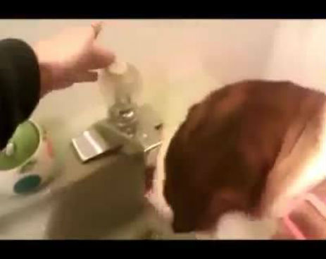 10679198_568227669971495_568227579971504_55767_1061_b