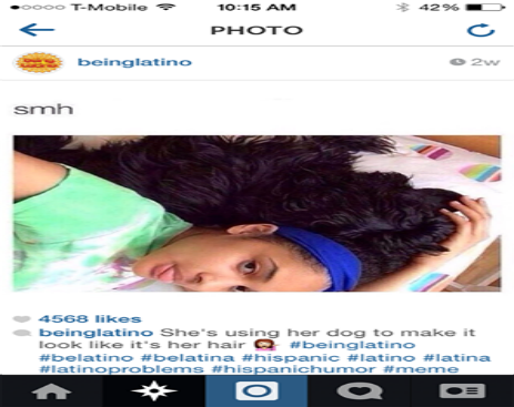 10687173_571912516269677_4432738481658445623_n