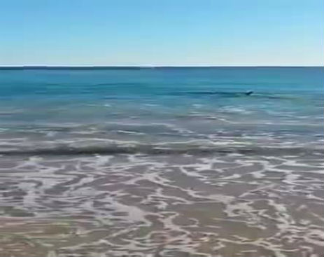 1095416_569140426546886_569140153213580_33106_2462_b