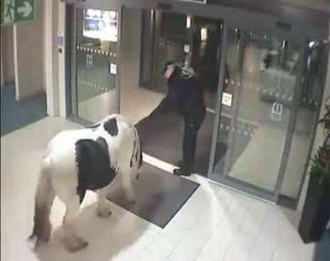 1394690_570963763031219_570963689697893_57112_1841_b