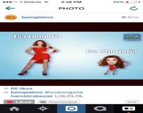 1896750_567305123397083_7809281438376666940_n