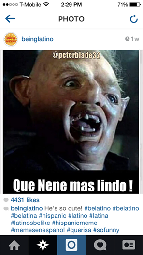 1904184_732276496848209_6463681402373021594_n