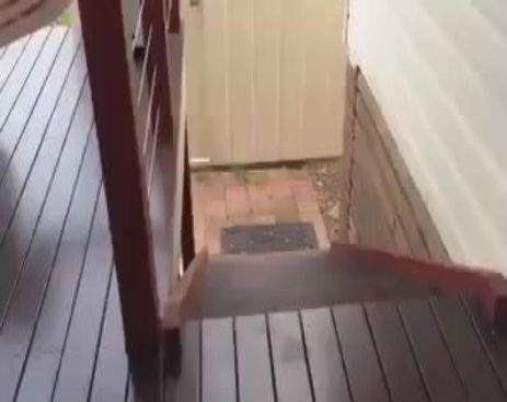 245017_570965779697684_570965666364362_19422_381_b