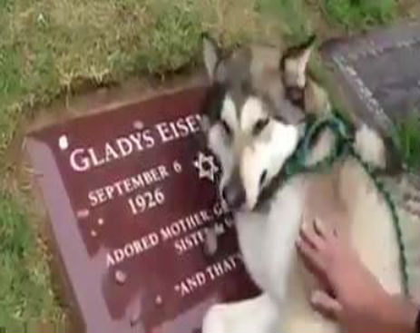 246065_10153350022084815_10153350021574815_43374_973_b