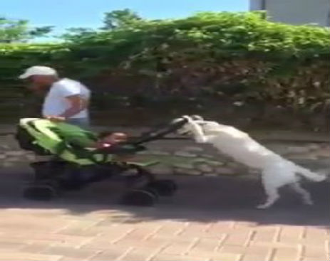 Screenshot_100114_093050_AM