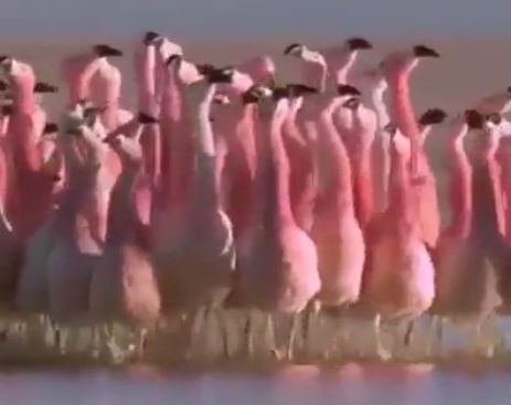 Screenshot_100614_102644_AM