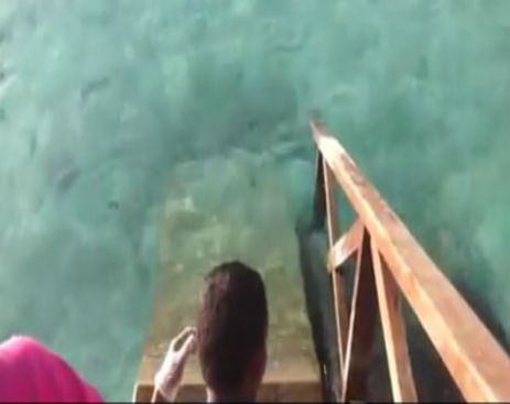 Screenshot_100714_091358_AM