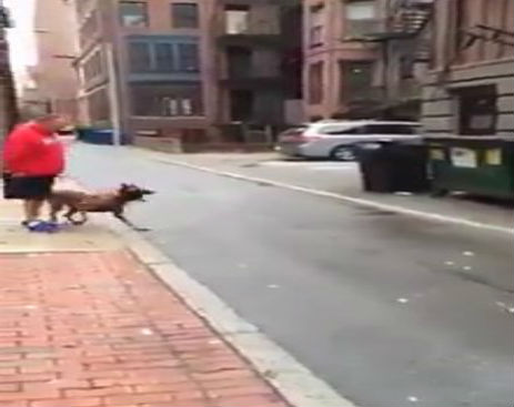 Screenshot_100814_091310_AM