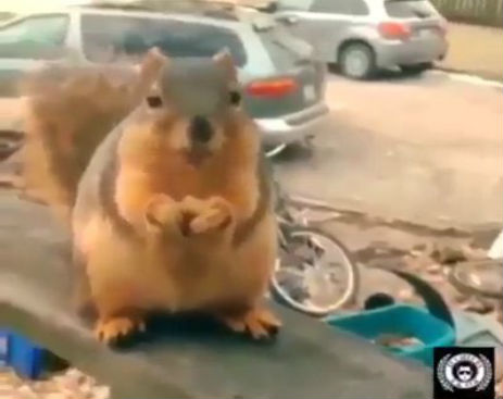 Screenshot_100814_093639_AM