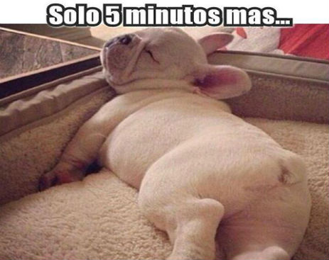 10341943_582257378568524_5817558470520352780_n