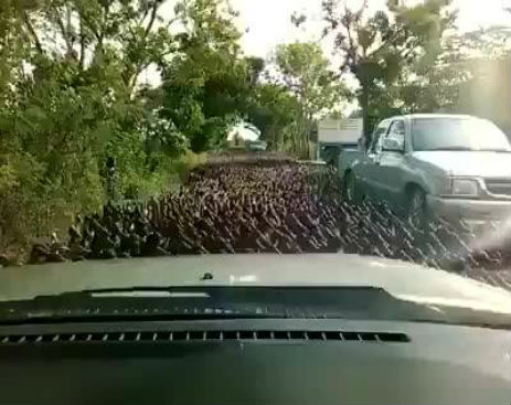 10381705_584324071695188_584323908361871_483_413_b