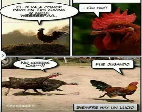 10403586_580844798709782_9386903625637932_n