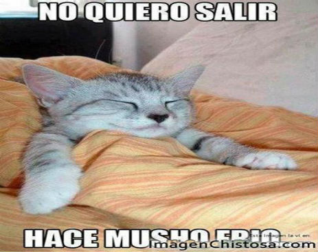 10420399_588849457909316_9133243179705608118_n