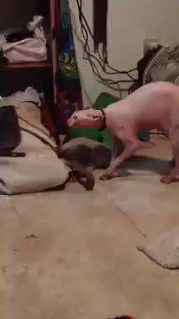 10442599_587507898043472_587507828043479_31527_434_b