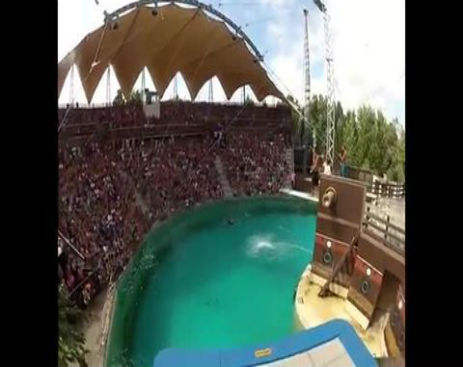 10539955_588826941244901_588826584578270_16067_2367_b