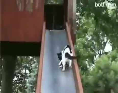 10549538_576249669169295_576249572502638_23805_1551_b