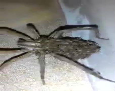 10604762_581735601954035_581735488620713_26012_2295_b