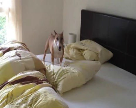 10675839_581736038620658_581735831954012_16462_2749_b