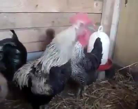 10676027_576249065836022_576248989169363_17609_645_b