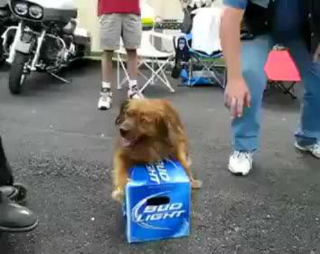 10676070_588825871245008_588825761245019_17963_401_b