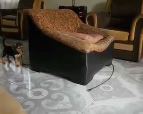 10677706_589213254539603_589213114539617_30644_2074_b