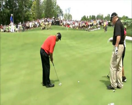 10677876_577575225703406_577575062370089_13079_1313_b