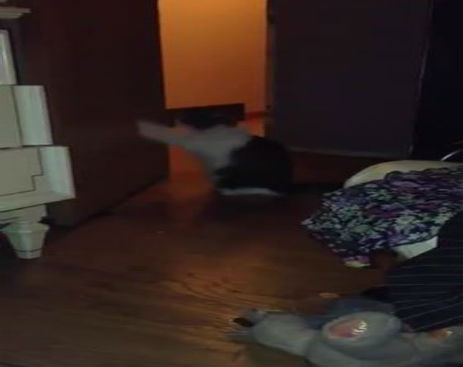 10751400_587508488043413_587508178043444_48585_2705_b