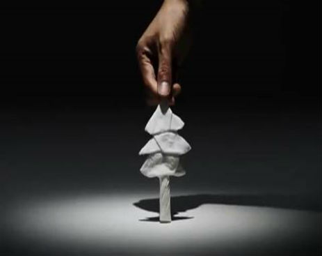 10821089_589216794539249_589216524539276_2685_2302_b