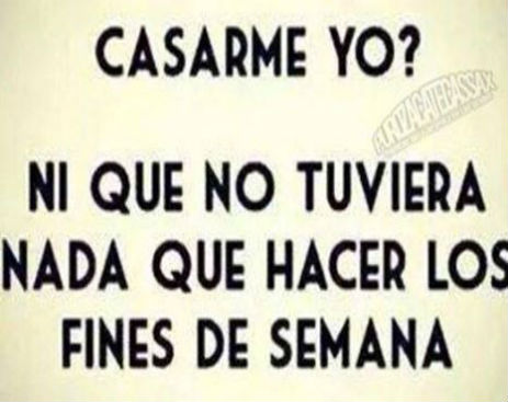 1234010_585633894897539_2860788489141471900_n