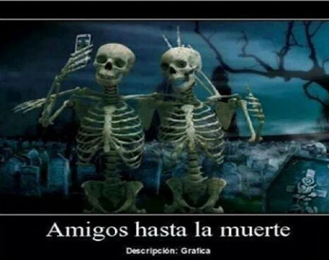 1505239_582257901901805_8498854778631508636_n