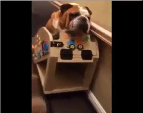 1976010_577573415703587_577573349036927_26530_689_b