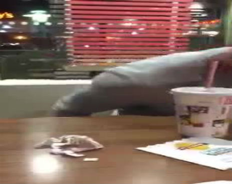 1976421_586083818185880_586083738185888_38200_2085_b