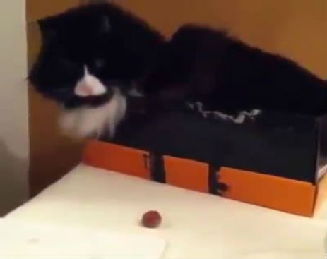 245024_581736245287304_581736155287313_26777_2549_b