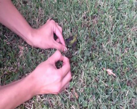 246378_576251729169089_576251382502457_57082_795_b