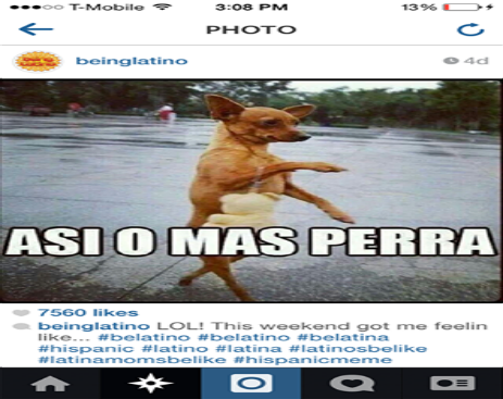 63959_579265662201029_2607745088276733933_n