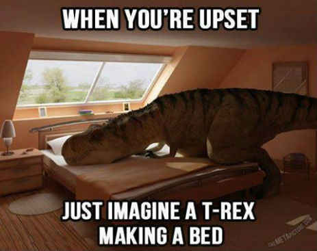 10502396_591179031009692_6315522431991430884_n