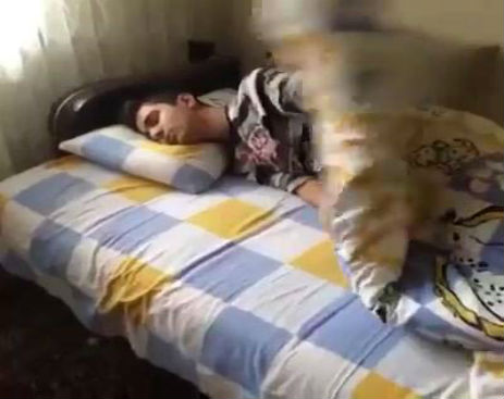 10751332_595737230553872_595737107220551_31575_1392_b