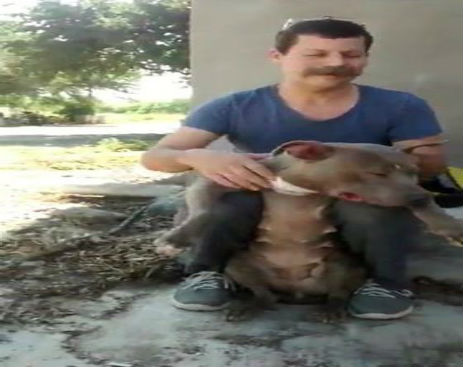 10751427_595750910552504_595750803885848_14544_1625_b