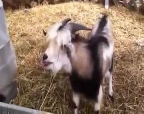 10821047_591970800930515_591970614263867_53006_537_b