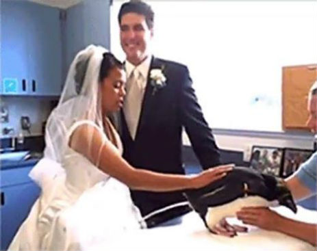 10821057_595729190554676_595729117221350_7706_1613_b