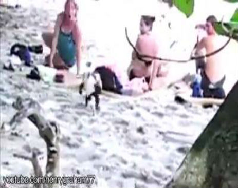 10821337_756463307762861_756463127762879_50284_2177_b