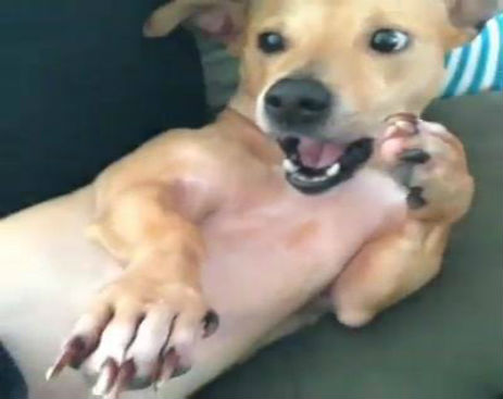 10821468_597569487037313_597569410370654_61407_853_b